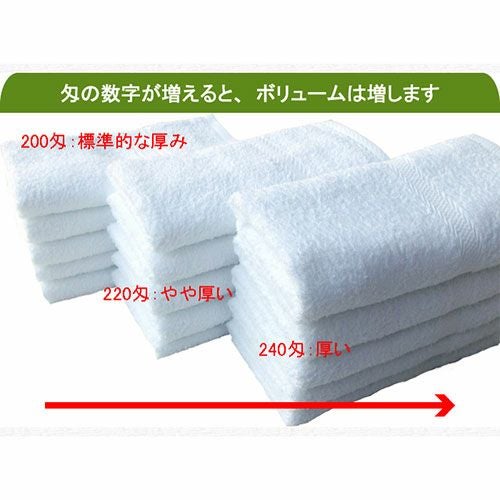 220匁国産泉州ソフト白タオル【総パイル】：480枚組|業務用タオル専門