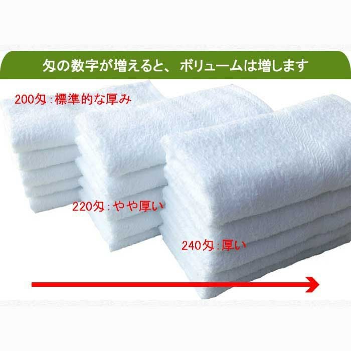 220匁国産泉州ソフト白タオル【総パイル】：サンプル1枚|業務用タオル
