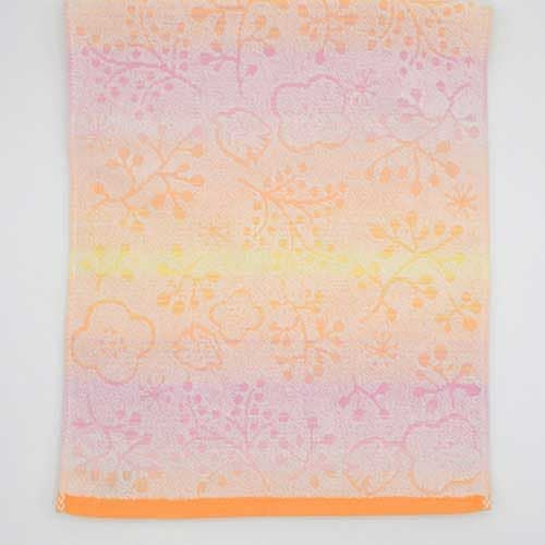 ノーブル 今治タオルブランド ジャガード織フェイスタオル